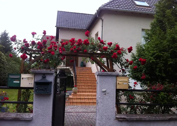 Lägenhet Bel En Rdc Proche Very Near