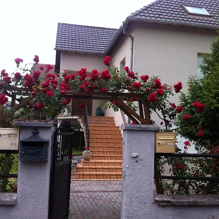 Appartement Bel En Rdc Proche Very Near